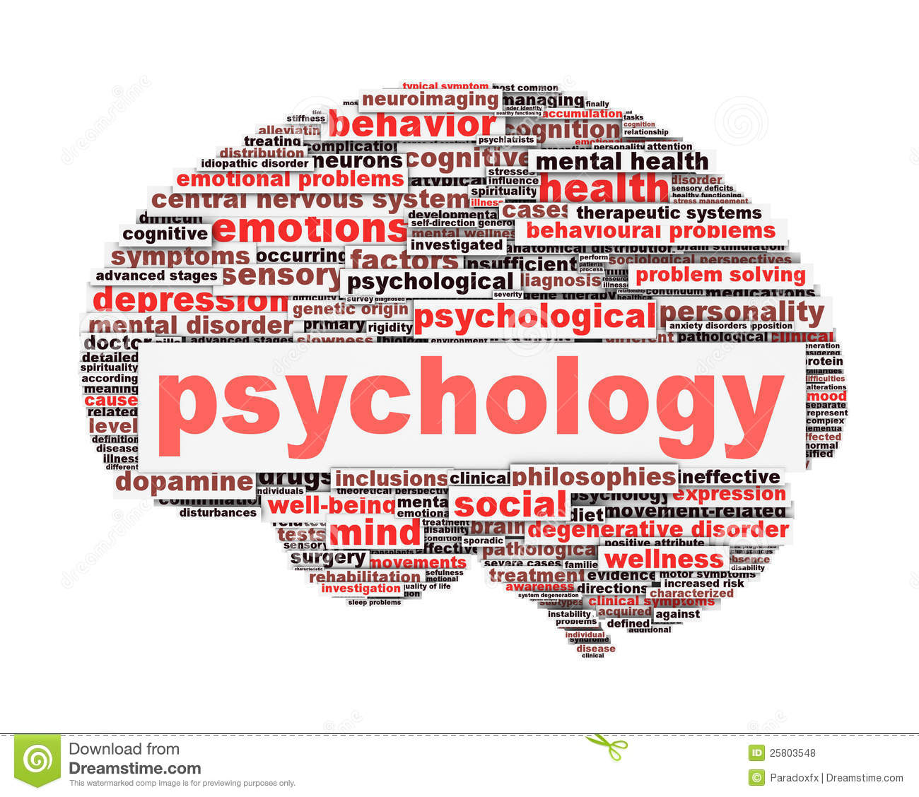 The Psychological Aspects of Project Management, A Primer