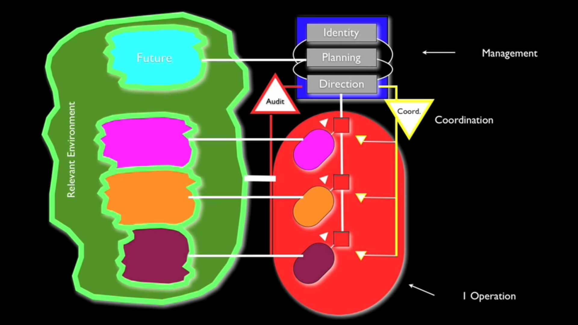 Introduction to Viable System Model